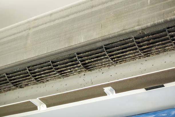 Best Air Vent Cleaning Services  in Winterville, GA